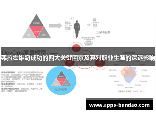 弗拉霍维奇成功的四大关键因素及其对职业生涯的深远影响