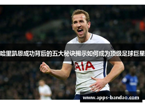 哈里凯恩成功背后的五大秘诀揭示如何成为顶级足球巨星